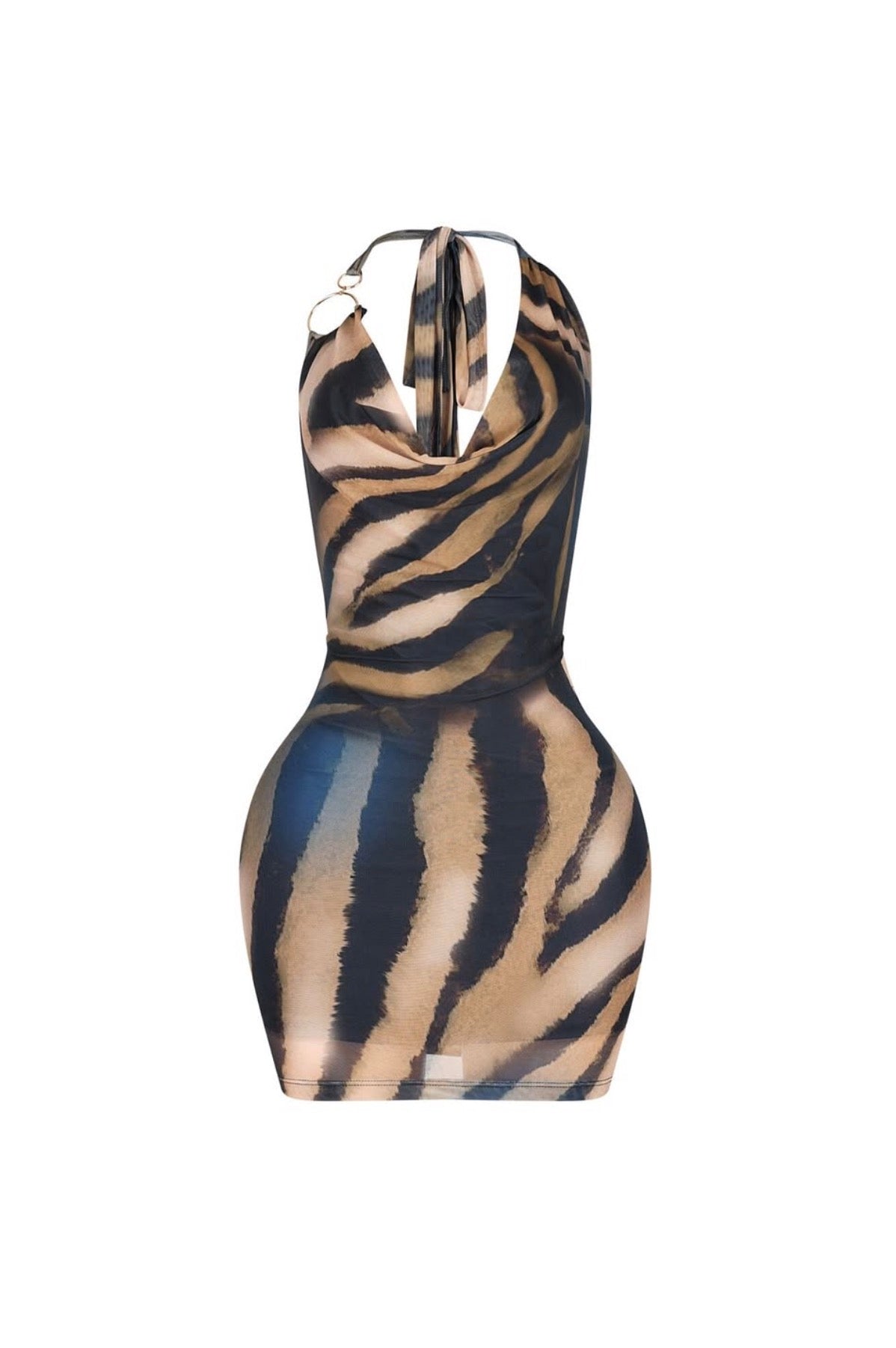 Smoking hot mesh mini dress